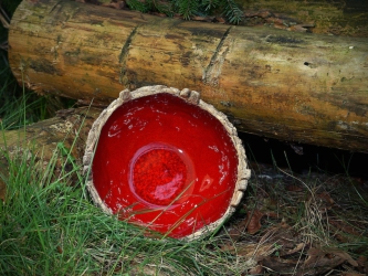 Schale mit Häusern rot